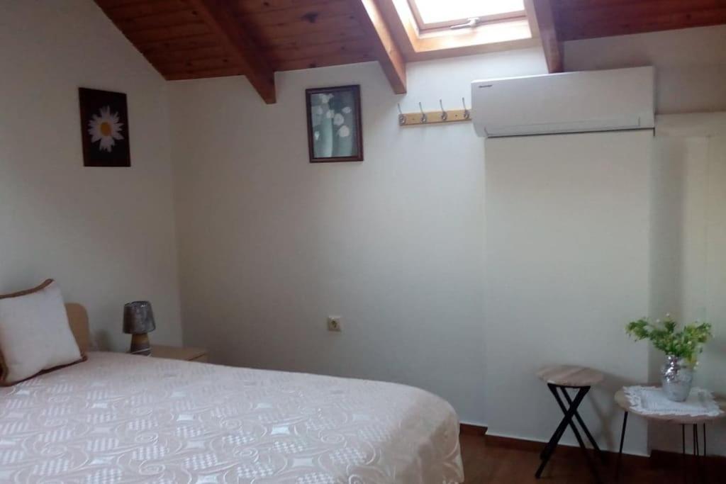 Cozy New Apartments Nea Chora 干尼亞 外观 照片