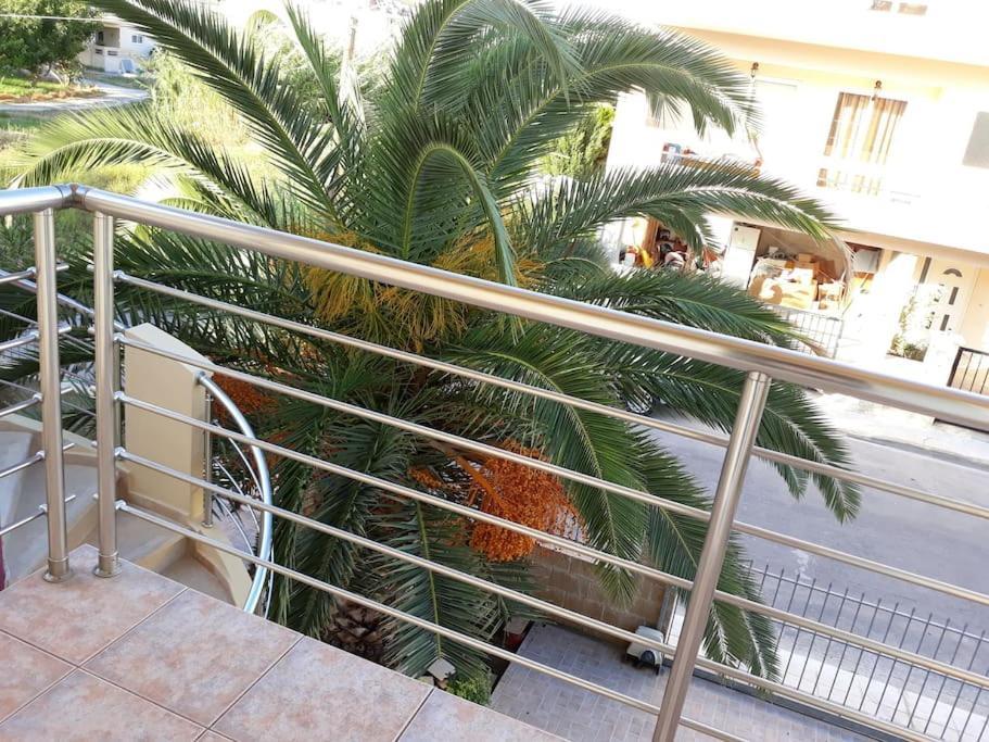 Cozy New Apartments Nea Chora 干尼亞 外观 照片